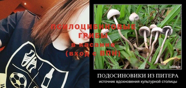 стаф Баксан