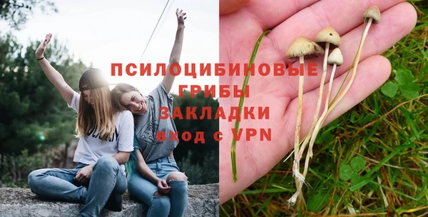 стаф Баксан