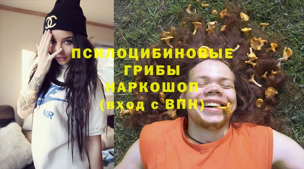 стаф Баксан